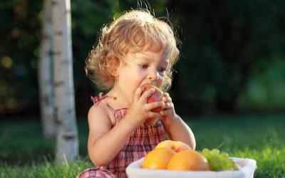 Основы здорового питания ребенка